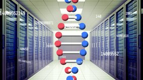 Animation of numbers processing and dna strand spinning over servers. Global research, science, computing and data processing concept digitally generated video.