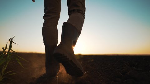 Agriculture. Farmer in rubber boots outdoors in field. Working agronomist walk on black earth soil. A man runs at sunset in a field. Farmer inspects fertile soil for the harvest. Agriculture concept