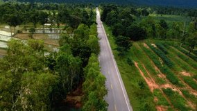 drone video a long road in the middle of the valley Within the Phu Phan Mountain Range, Sakon Nakhon Province