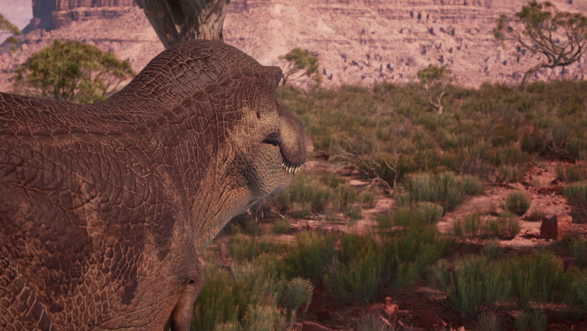 Tyrannosaurus walks through the Canyon in the desert. Dinosaur. T-rex on the hunt. 3d rendering. High quality 4k footage. 3D Illustration Royalty-Free Stock Footage #1093062059