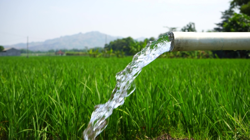 Irrigation of rice fields using pump wells with the technique of pumping water from the ground to flow into the rice fields. The pumping station where water is pumped from a irrigation canal. Royalty-Free Stock Footage #1093062171
