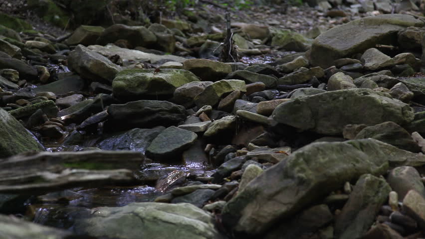Spring stream. Rocks.