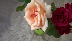 beautiful engagement diamond ring as proposal gift presented in the red rose flower head, happy birthday, will you marry me - Powered by Shutterstock - Get 15% off with code: PIKWIZARD15