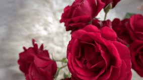 beautiful engagement diamond ring as proposal gift presented in the red rose flower head, happy birthday, will you marry me - Powered by Shutterstock - Get 15% off with code: PIKWIZARD15