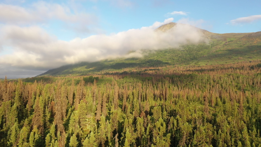 Alaska Aerial Landscape with mountains, forest, clouds. Kenai Peninsula. Summer, sunny morning