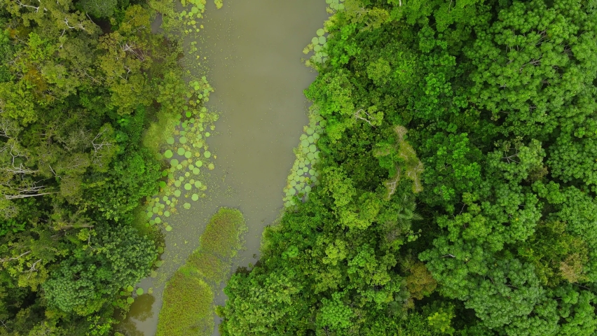 Top down aerial shot, scenic view of a small arm of the amazon river in the middle of the amazon forest in Colombia. Royalty-Free Stock Footage #1093090459