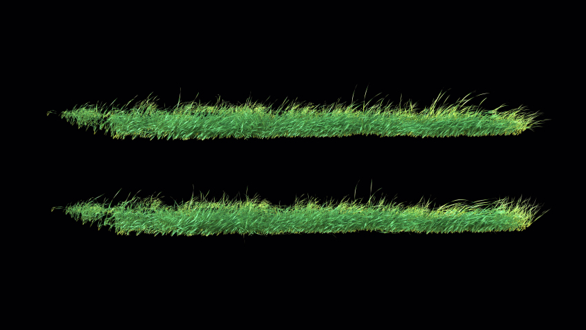 Grass Swaying Fast and  Wind Loop with Alpha Channel. 3D rendering. There are 2 place on footage or background in a seamless loop. Royalty-Free Stock Footage #1093097481