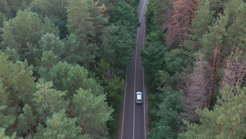 Top view of white car riding along road in green forest. Auto driving at rural route at summer day. SUV moving through scenic landscape way at beautiful season. Concept of holiday travel. Aerial shot Royalty-Free Stock Footage #1093102069