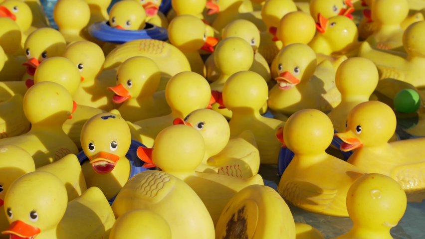 This video shows floating yellow rubber duckies in a pool rotating. Royalty-Free Stock Footage #1093112391