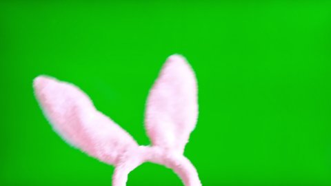 Easter Bunny Ears On Green Screen Stock Footage Video (100% Royalty