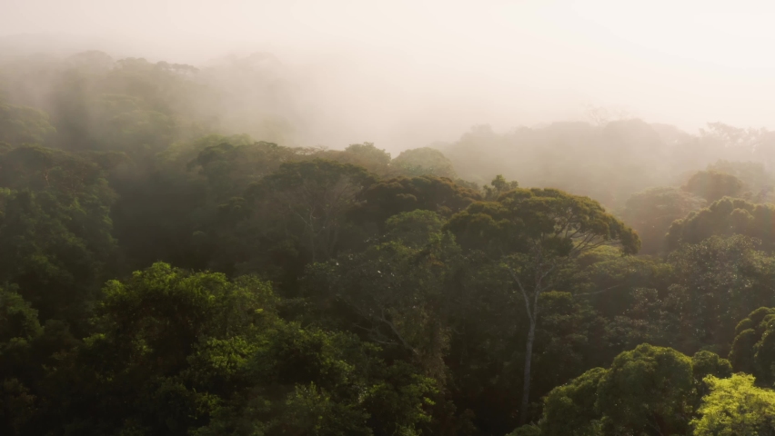 Aerial Drone Shot Above Rainforest Scenery in Costa Rica, Misty Tropical Jungle Landscape High Up Above Clouds in Amazing Dramatic Light with Atmospheric Mist at Boca Tapada in Central America Royalty-Free Stock Footage #1093126851
