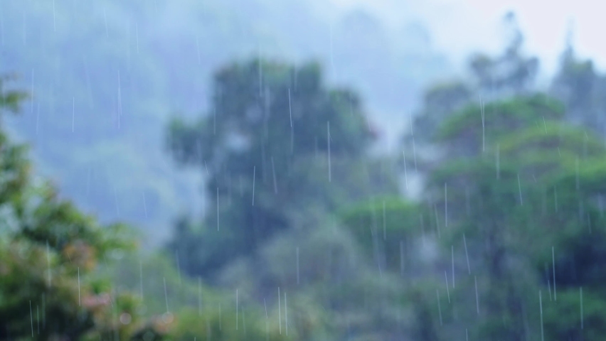 Heavy Rain in Rainforest with Trees, Raining in Rainy Season in a Tropical Storm Landscape with Trees, Blue Tones Nature Background of Wet Weather Climate in Costa Rica, Central America Royalty-Free Stock Footage #1093127007