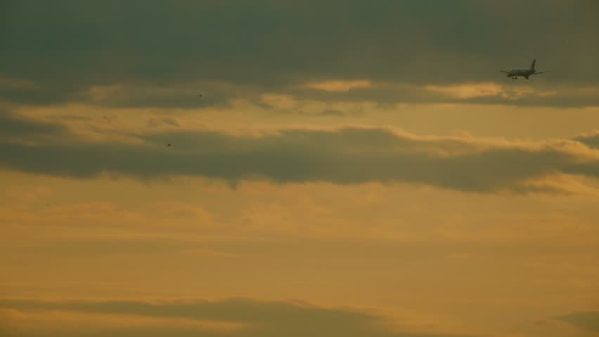 The aircraft on the final approach before landing on the background of the sunset sky