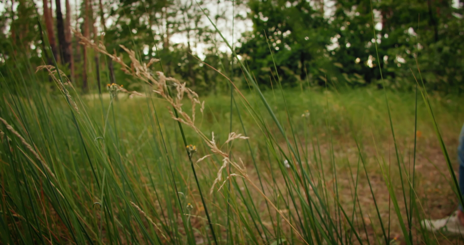 Volunteer woman with garbage bags cleaning forest. Plastic pollution and environmental problem concept.