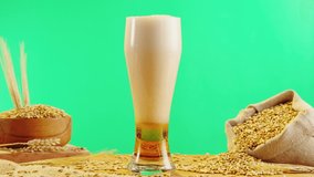 Foamy beer in glass close-up. Alcohol golden beer drink in mug. Fresh pale ale on green chroma key background and wheat. - Powered by Shutterstock - Get 15% off with code: PIKWIZARD15