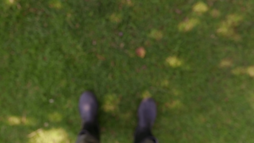 Close-up farmer holding sweet potatoes in his hands, Biologically grown sweet potatoes. Outdoor Farmers Market. 