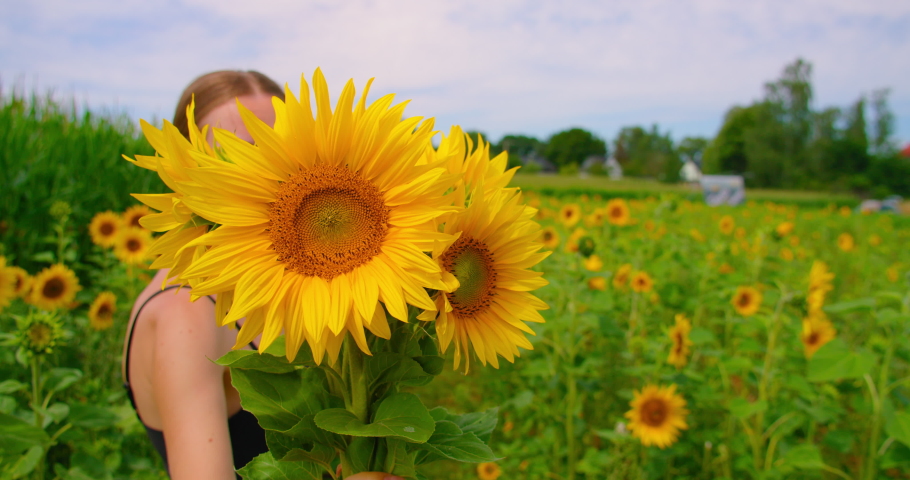 Young beautiful woman enjoy beauty nature sunflower field. Girl holding a bouquet of yellow flowers in hand and walks away. Flowers for sale in Germany. Self-service.