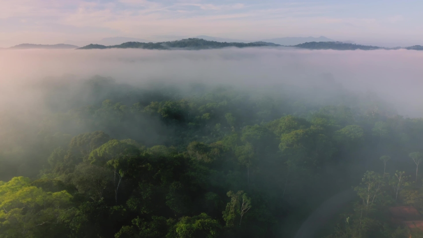 Aerial Drone View of Misty Rainforest in Costa Rica, Above the Clouds and Trees in Misty Landscape with Mountains, Vast Remote Amazing Tropical Jungle Scenery, High Up Shot About Climate Change