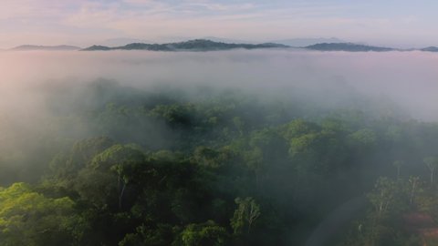 Aerial Drone View of Misty Rainforest in Costa Rica, Above the Clouds and Trees in Misty Landscape with Mountains, Vast Remote Amazing Tropical Jungle Scenery, High Up Shot About Climate Change Video de stock