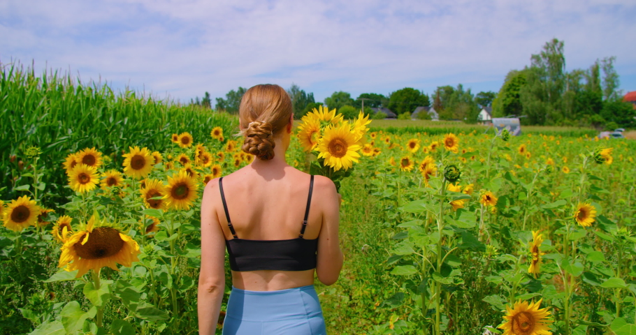 Young woman enjoy beauty nature sunflower field. Girl holding a bouquet of yellow flowers in hand and walks away. Flowers for sale in Germany. Self-service.