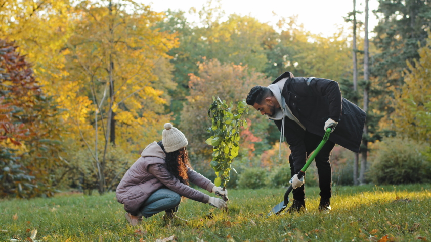 Group young people volunteers environmental protection organizations plant tree in autumn park take care nature guy digs seedling with shovel eco activists protect natural plants concept active Royalty-Free Stock Footage #1093217409