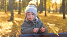 Autumn video portrait of a boy . Autumn article. It's time for school.