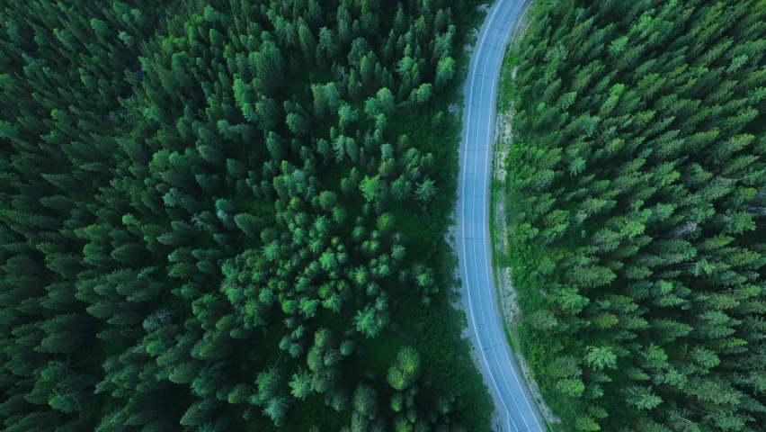 Road in the green forest. Aerial view
 Royalty-Free Stock Footage #1093227605