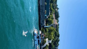 marvelous view of seagulls on the Bosphorus from a ship, vertical video. High quality 4k footage