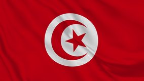 Republic of Tunisia realistic waving flag. smooth seamless loop 4k video	