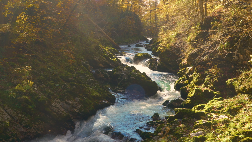 Natural attraction of beautiful Radovna river in Vintgar Gorge in vivid fall shades. Gorgeous color palette of beech tree forest and wild river flowing through steep canyon in colorful autumn season. Royalty-Free Stock Footage #1093237233