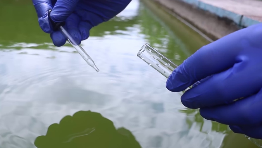 Water sample. Bacterial control of pool water. Checking the amount of algae, harmful substances and chemicals. Laboratory study of water from artificial reservoirs. Taking liquid into a test tube Royalty-Free Stock Footage #1093250561