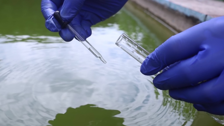 Water sample. Bacterial control of pool water. Checking the amount of algae, harmful substances and chemicals. Laboratory study of water from artificial reservoirs. Taking liquid into a test tube | Shutterstock HD Video #1093250561