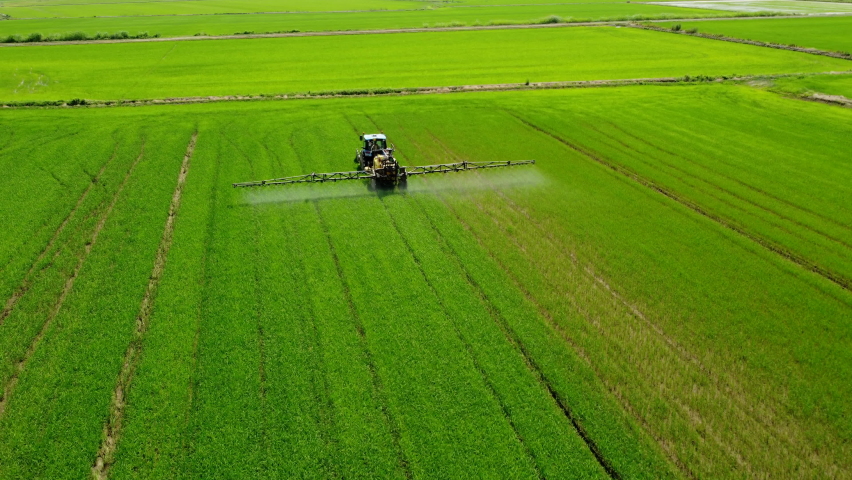 Tractor Sprayer Fertilizer, Herbicide, Pesticide Treatment on Rice Paddy Agriculture Field. Farmer Working on Farming Cultivation | Shutterstock HD Video #1093264335