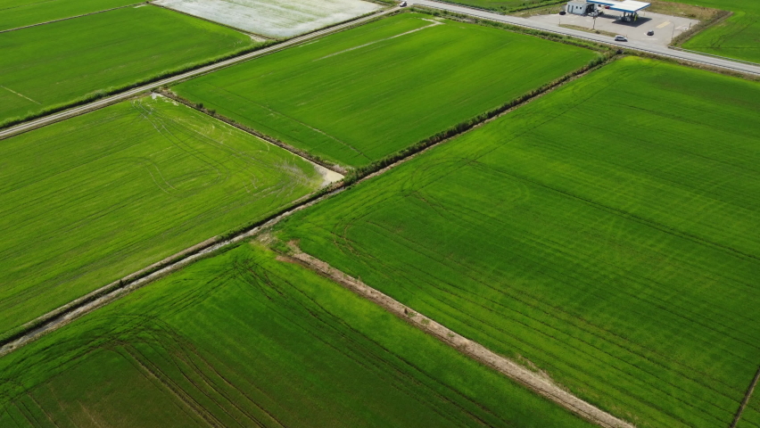 Rice Paddy Agriculture Field in Vercelli, Piedmont. Agricultural paddies farm plantation aerial view. | Shutterstock HD Video #1093264339