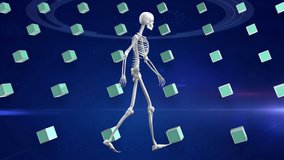 Animation of human skeleton, dna strand and rows of green cubes over data processing. global data processing, science and research concept digitally generated video. - Powered by Shutterstock - Get 15% off with code: PIKWIZARD15