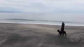 Attractive adult hostess girl in warm clothes walk with her well-mannered obedient Rottweiler breed dog on short strict strong leash, along sandy wild sea beach in cold weather. UHD 4K video
