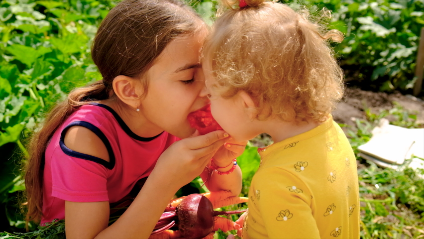 Child in the vegetable garden. selective focus.
