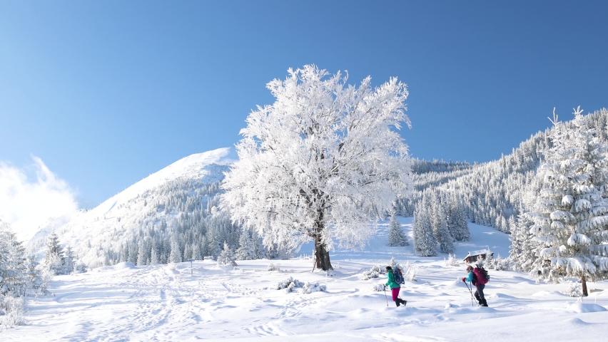 Two girls in snowshoes and backpacks go hiking in the snow in winter. | Shutterstock HD Video #1093289505