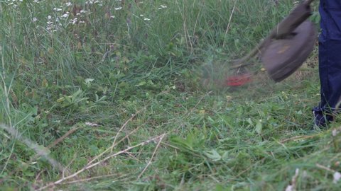 Using String Trimmer Cut Grass Brush Stock Footage Video 100 Royalty Using String Trimmer Cut Grass Brush Stock Footage Video 100 Royalty