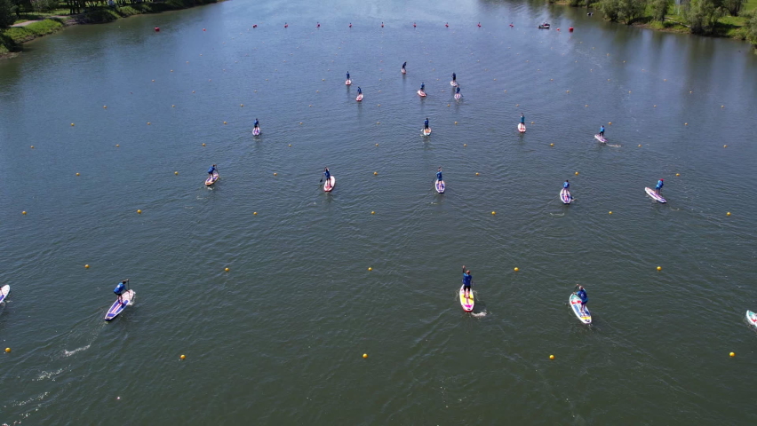 a lot of people are swimming standing on the board in the water rowing with oars. Summer fun on the water. SUP on calm water. top view