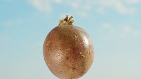 Passion fruit rotates against the background of the blue sky, close-up. - Powered by Shutterstock - Get 15% off with code: PIKWIZARD15