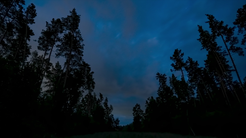 Time lapse of moving clouds and stars over forest in the night sky. Starry night background. Epic video 4K