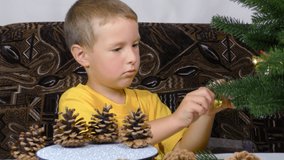 A little boy is playing with Christmas decorations near the Christmas tree