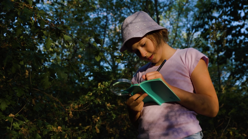 Handsome curious kid Naturalist Scientist Explores Plant Life and Insect Life and take notes in his notebook. schoolgirl naturalist studying the leaves in the forest Royalty-Free Stock Footage #1093336085