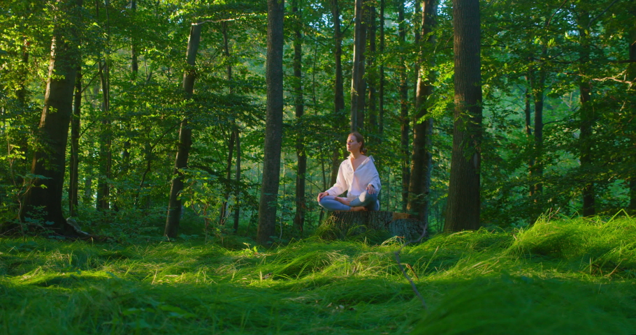 Unity with nature. Serenity and contemplation. World mental health day. Woman meditate on stump in heart of forest. Young female enjoying sounds of woodland. Breathing exercises, respiratory system. | Shutterstock HD Video #1093336225