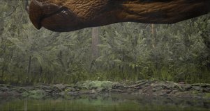 Triceratops near the water, the lake of the jungle. The Jurassic Period, Mesozoic. 3D rendering. High quality 4k footage. 3D Illustration