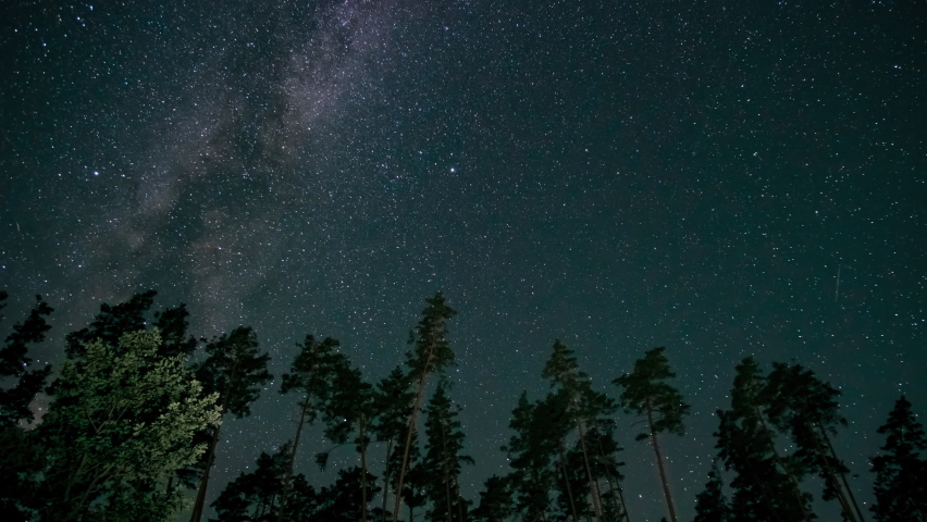 Timelapse of The Milky Way galaxy moves above the silhouettes of trees. Starry night background. Epic video 4K