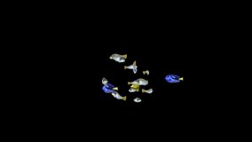 Fish Animation, Fish Swim Green Screen Video, 3D Animation, Underwater, Single and Group, Group of fish with a blue and yellow tang, Alpha matte, 