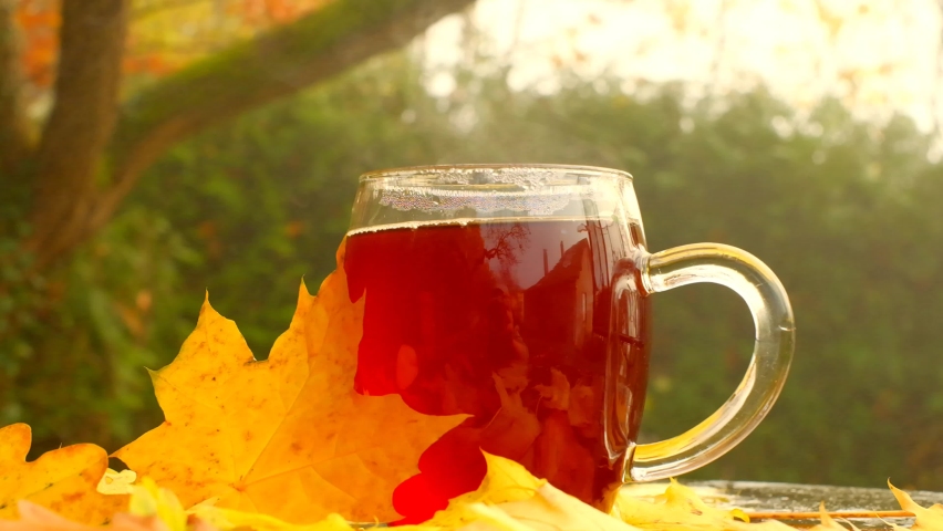Autumn tea.Steam over a mug of hot tea. Hot tea in a transparent mug in the garden on a sunny autumn day. Cozy tea party in the autumn garden. 4k footage Royalty-Free Stock Footage #1093359885
