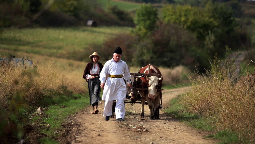 Romanian peasants go by oxcart 10
